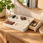 Hidden Step Storage Tray